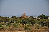 Bagan Myanmar. Cluster of red brick temples near Min myaw yaza  